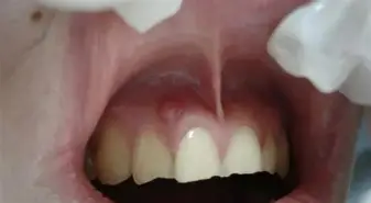 包含莎拉波娃携手姚迪战意甲细节曝光的词条 包含莎拉波娃携手姚迪战意甲细节曝光的词条